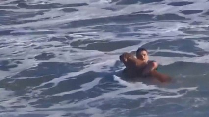Argentina, cane trascinato dalla corrente: passante si tuffa e lo salva - Il video