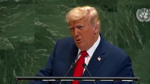 Trump asegura que el Gobierno sirio apoya los ataques contra posiciones de Estado Islámico