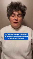 Cuccioli sotto l'albero a Natale e abbandonati a Santo Stefano