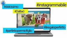 Cucccioli da Instagram? No, da amare
