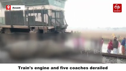 7 Elephants Killed After Being Hit By Rajdhani Express In Assam; Train's Engine And 5 Coaches Derail