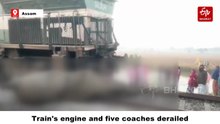 7 Elephants Killed After Being Hit By Rajdhani Express In Assam; Train's Engine And 5 Coaches Derail