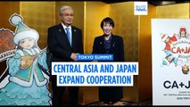 Central Asia and Japan discuss new cooperation formats at inaugural Tokyo summit