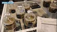 Controlli della polizia a Bergamo e Treviglio, denunciati i gestori di tre cannabis shop