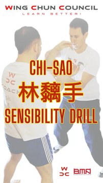 林黐手 - CHI-SAO - WING CHUN SENSIBILITY DRILLThanks for the music:Music: Gravity BassArtist: Nordgroove #wingchuncouncil #wingchun #wingchuncotedazur #wingchunnice #ipman