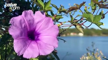 Último dia da primavera será de calor e sol forte no Paraná