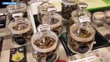 Spaccio dietro i "Cannabis shop", blitz della Polizia in tutta Italia. Chiuso locale anche a Caserta (20.12.25)