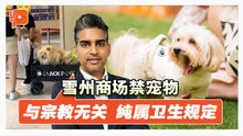 商场宠物禁令遭误解？雪议员澄清：纯属卫生执照规定