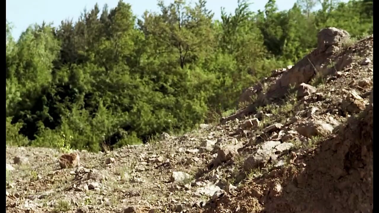 Undisputed III: Redemption Part 4 | International Fighters Arrive | Boyka vs Dolor