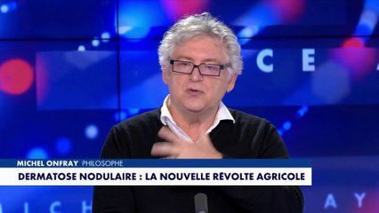 Michel Onfray : «Les européistes souhaitent détruire l'agriculture au profit de l'industrialisation»