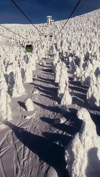 ❄️🇯🇵 Yamagata, le Japon en version hivernale Sous un manteau de neige épais, la préfecture de Yamagata se transforme en véritable pays des merveilles d’hiver...