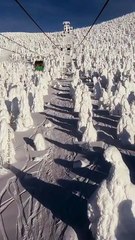 ❄️🇯🇵 Yamagata, le Japon en version hivernale  Sous un manteau de neige épais, la préfecture de Yamagata se transforme en véritable pays des merveilles d’hiver...