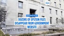 Dozens of Epstein files have disappeared from government website