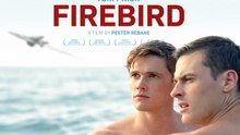 Firebird - Verbotene Liebe im Kalten Krieg | BL Movie [GERMAN SUB]