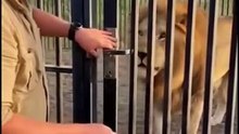 He fed the lion… then THIS happened! 😱