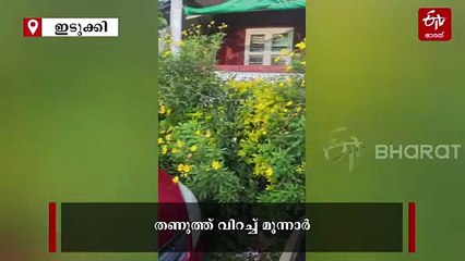 മൂന്നാര്‍ -1°c, കേരളത്തിലെ ഏറ്റവും തണുപ്പേറിയ ദിനം ഇന്ന്, കാരണമിത്...