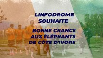 Bonne chance aux éléphants champions d'Afrique