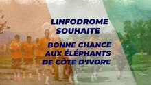 Bonne chance aux éléphants champions d'Afrique