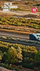 Country Girl Saved a Dangerous Man on the Train, and Stole His Gun! ｜ Love Is a Dangerous Dance