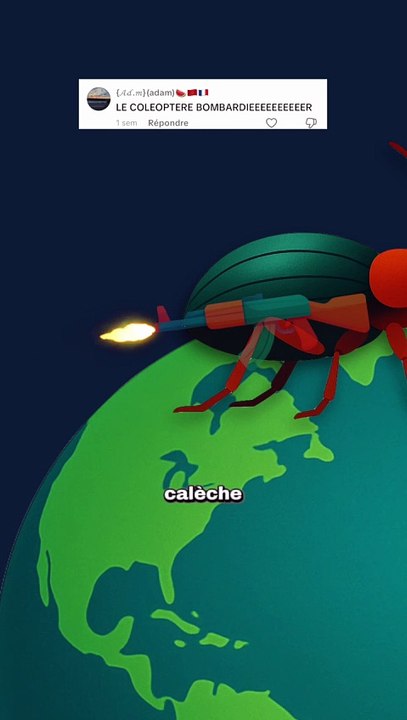 Le coléoptère bombardier : un lance flamme sur pattes ! #insecte #defense #animaux #nature #humour