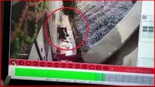 Sunbath Turns Fatal: Dumper Overturns on 90-Year-Old in Gwalior, CCTV Horror Caught on Camera