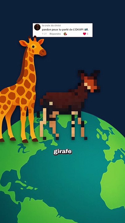 Le cousin de la girafe que personne ne connait ! #okapi #girafe #animaux #nature #humour