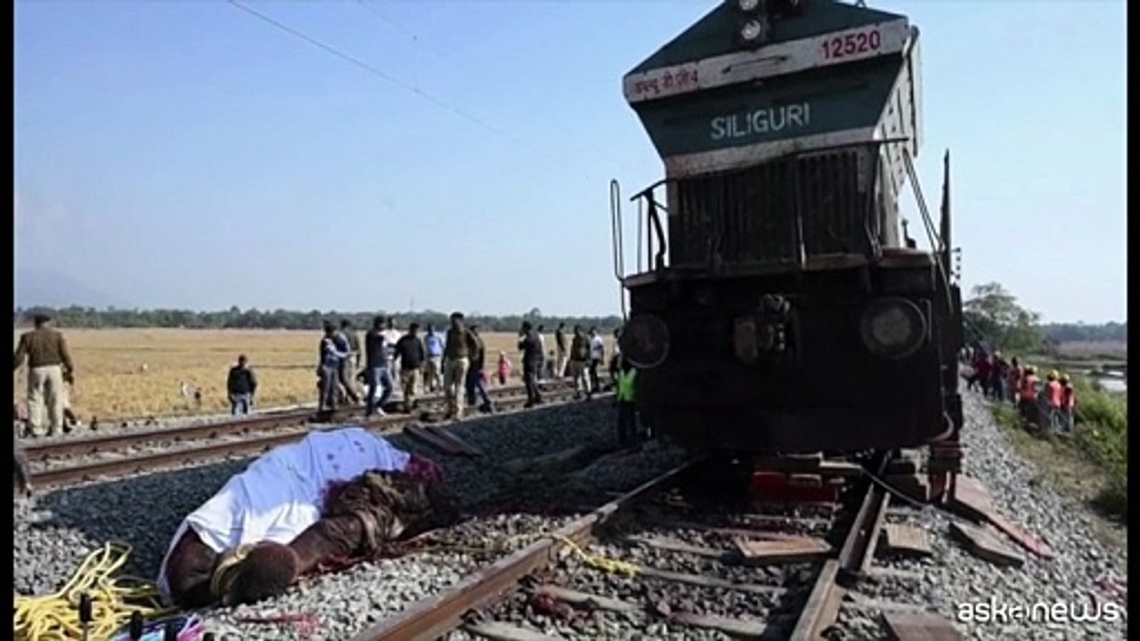 India, un treno passeggeri investe branco di elefanti: 7 morti
