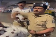 Video News: अहमदाबाद में पुलिस कर्मी ने महिला पर उठाया हाथ, वीडियो वायरल
