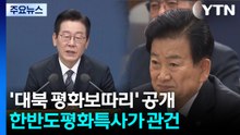공개된 '대북 평화보따리'...한반도평화특사가 관건 / YTN