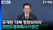공개된 '대북 평화보따리'...한반도평화특사가 관건 / YTN
