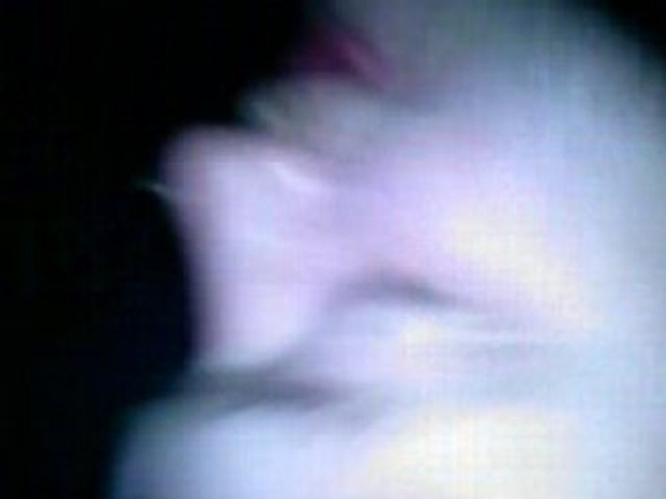 Gerbe