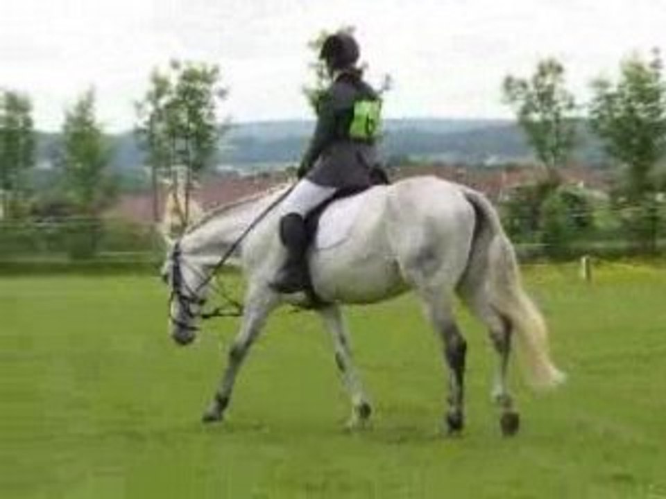 CCE Gisors 25 mai 2008 - Dressage
