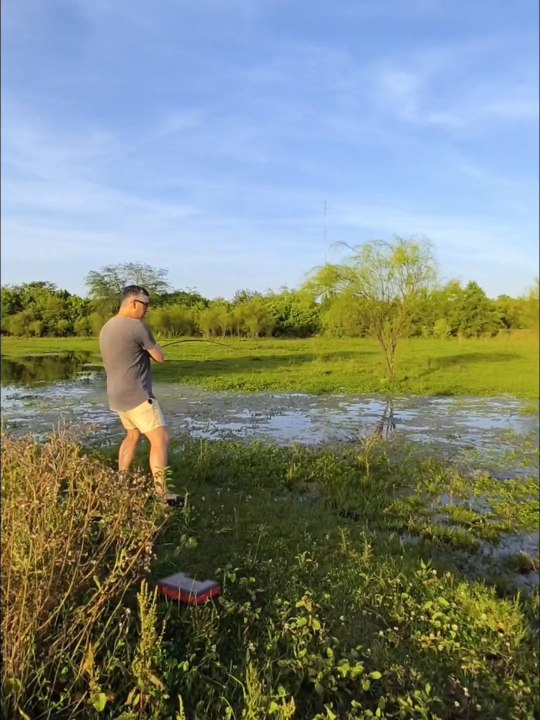 Pesca y devolución de Tarariras en una laguna increíble 🎣👌