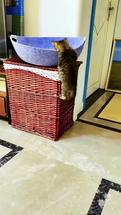 Funny moment 🤣🤣
