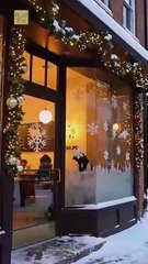 Fake Dating The Quarterback on Christmas#FullMovie