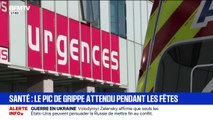 Épidémie de grippe: le pic est attendu la semaine prochaine pendant les fêtes de Noël