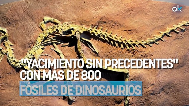Los paleontólogos no dan crédito: hallan un yacimiento sin precedentes con más de 800 fósiles de dinosaurios