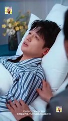 doblado Guía para cortar familia Completo En Español MiniCineLatino