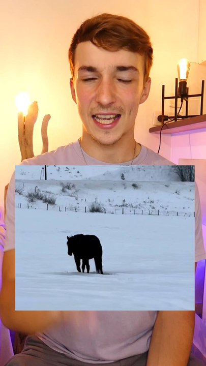 Tu vois quoi ?