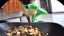Cat tries to make its green snake toy eat from the bowl