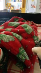 #Multitool #Saw #MultitoolSaw #DailymotionShorts #DailymotionShort#Real