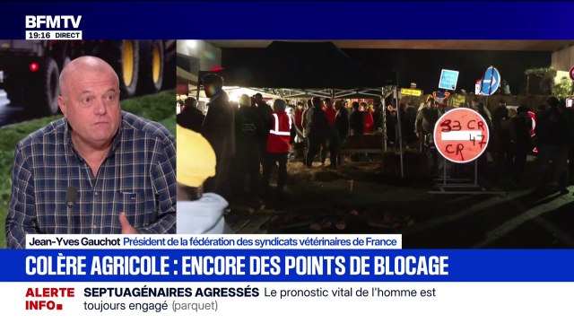 DNC: Le problème de la dermatose nodulaire contagieuse, ce sont les porteurs asymptomatiques dans les troupeaux, explique Jean-Yves Gauchot, président de la fédération des syndicats vétérinaires de France