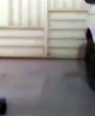 Casa de subtenente da Polícia Militar é alvo de ataque a tiros na Bahia