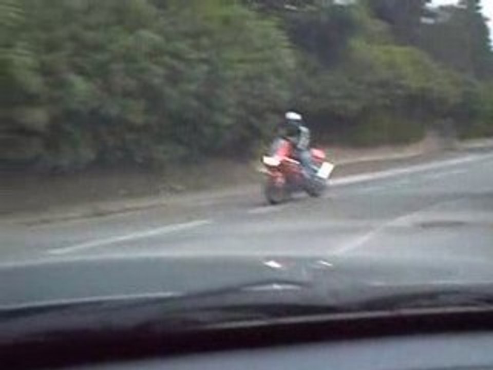 Le Falco de Franck.03