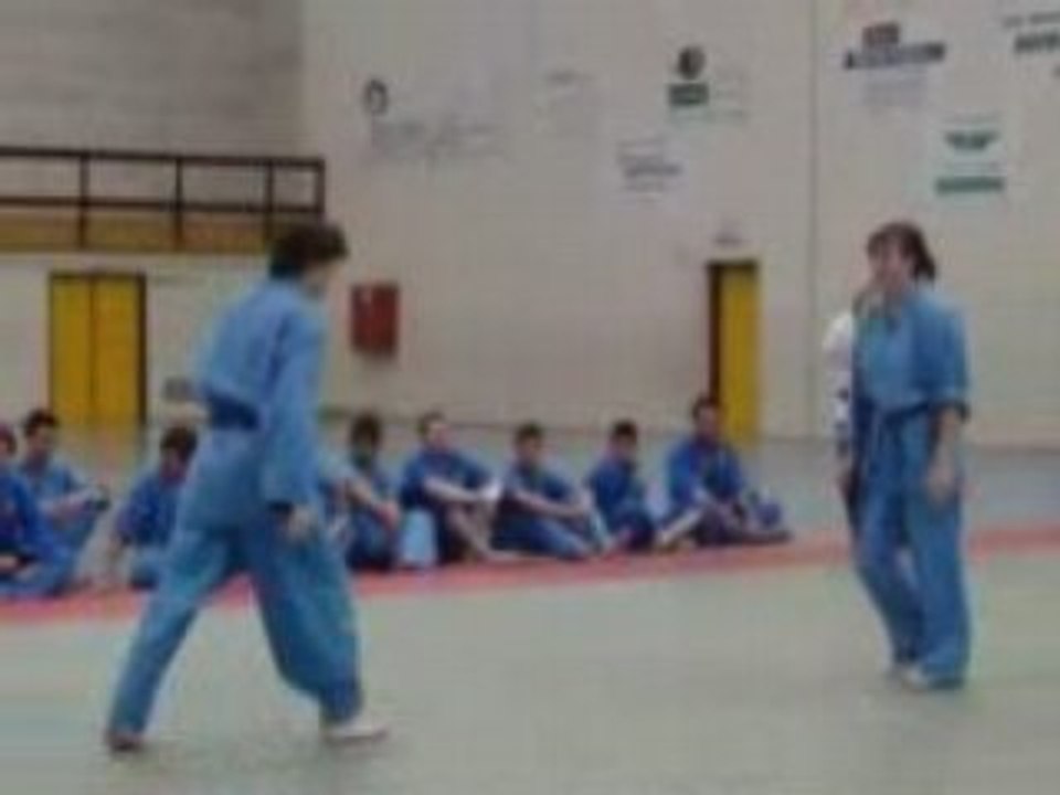 Montage 2