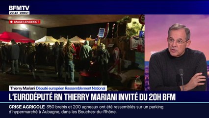 Colère des agriculteurs: "Cette crise a été gérée avec une extrême brutalité", déclare Thierry Mariani, député européen RN