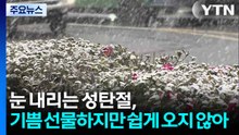 서울 10년 내 '화이트 크리스마스' 두 차례...올해는? / YTN