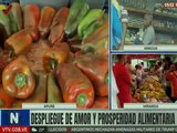 Plan de Amor y Prosperidad Alimentaria se desplegó en el municipio Biruaca del estado Apure