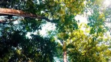 WONDERS OF INDONESIA
