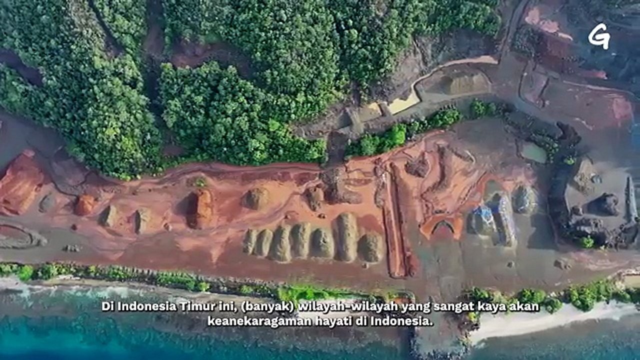 Wajah Lain Raja Ampat dan Potret Tanah Papua Terkini
